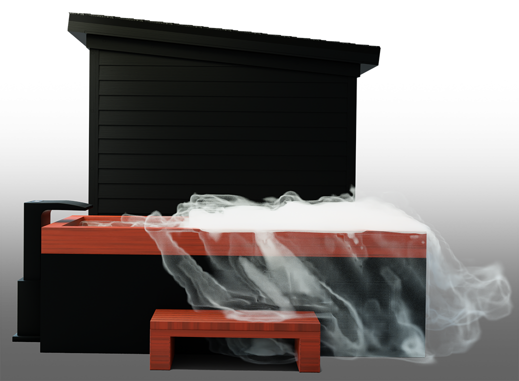 Nature X Black™ Combo 4 Person Dry-Steam-Infrared Sauna