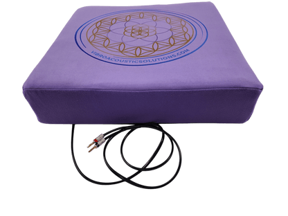 Vibroacoustic Therapy Meditation Cushion bundle with custom amplifier